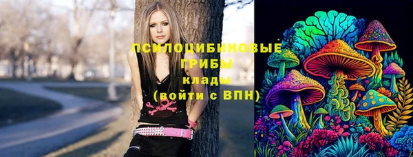 mdpv Алзамай