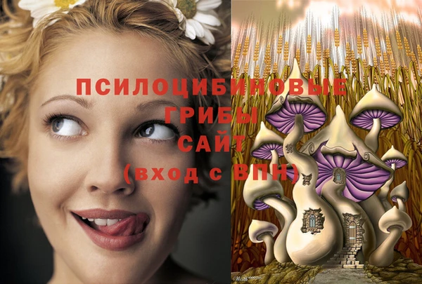 ALPHA PVP Алексеевка