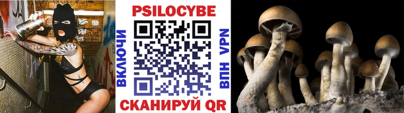 Галлюциногенные грибы MAGIC MUSHROOMS  Чапаевск 